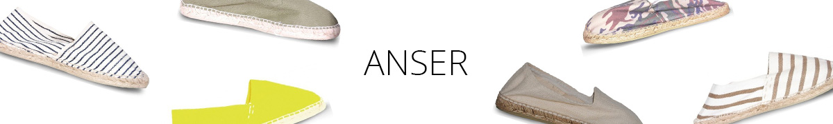 Anser